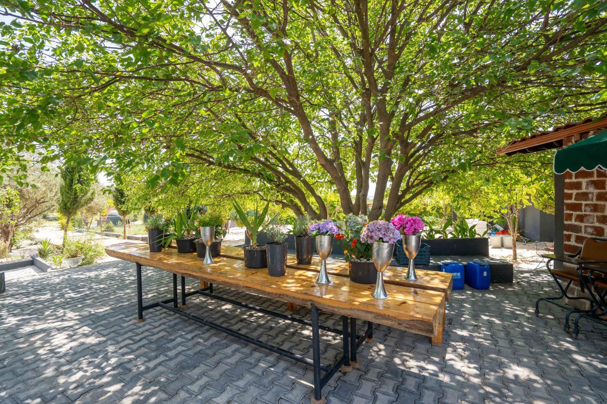 Simlarda Country Club Ayvalik Βίλα Εξωτερικό φωτογραφία